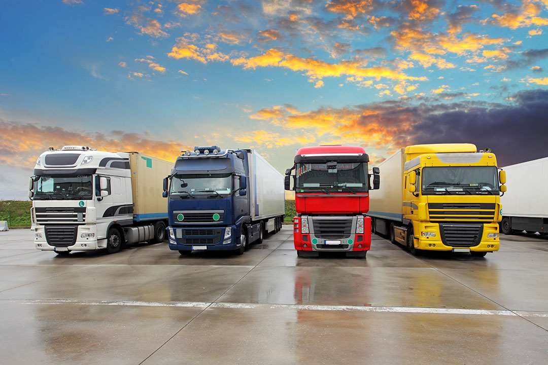 vận chuyển hàng mẫu quốc tế, minh vân logistics