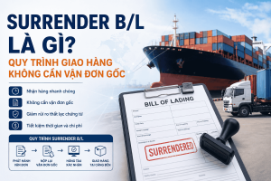 Surrender BL là gì