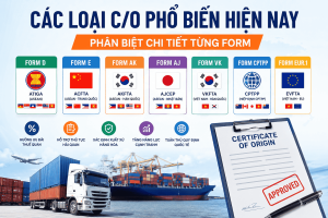 Các Loại C/O Phổ Biến Hiện Nay