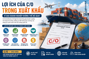 Lợi Ích Của C/O Trong Xuất Khẩu