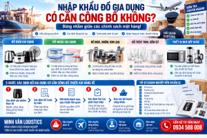 Nhập Khẩu Đồ Gia Dụng Có Cần Công Bố Không?