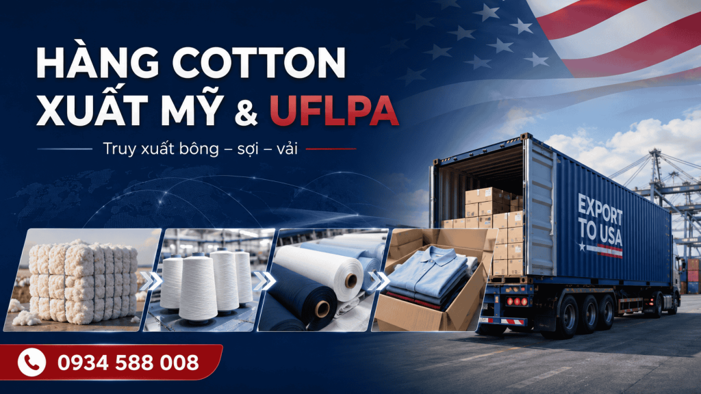 Hàng cotton xuất Mỹ và UFLPA