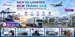 Dịch Vụ Logistics KCN Tràng Duệ Cho Nhà Máy FDI